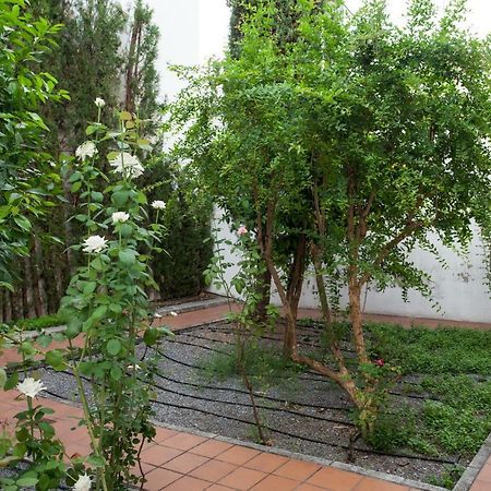 Apartamento De Lujo En Antiguo Convento Granada Eksteriør billede